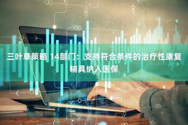 三叶草策略 14部门：支持符合条件的治疗性康复辅具纳入医保