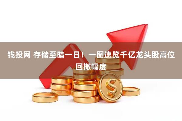 钱投网 存储至暗一日！一图速览千亿龙头股高位回撤幅度